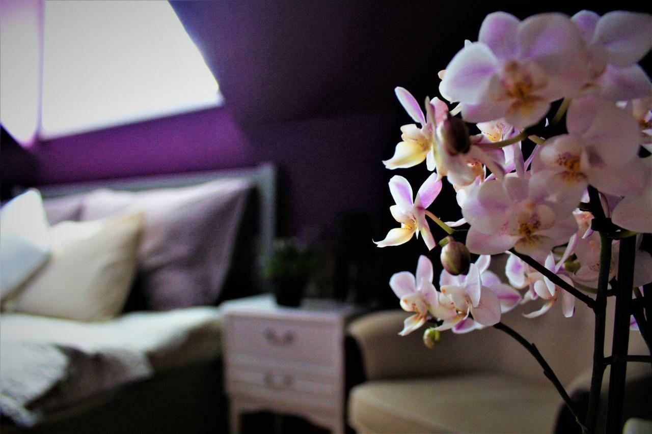 Fjord House Villa Grimo Ngoại thất bức ảnh